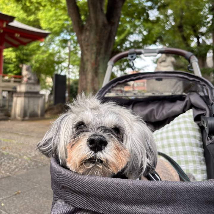 6fcb2d68 7ded 4015 9c33 34a7a558972a 1761230322152