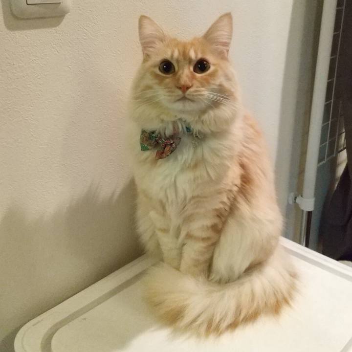 6fcb6014 6e70 48ee 9666 45fbe800743b 1643146760528