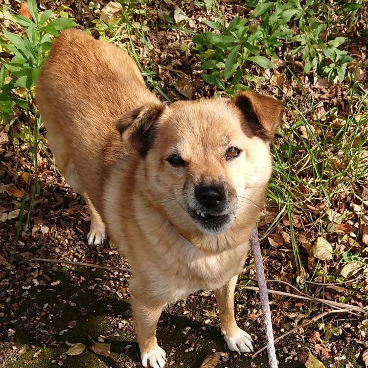 6fcbad29 bf9e 4a5a b936 a3bb441f43ad 1573121194533