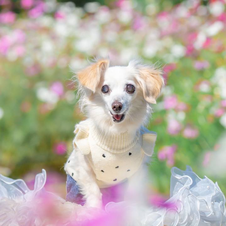 6fcbae0b d9aa 4a26 bb87 393f84dcfc55 1763389334764