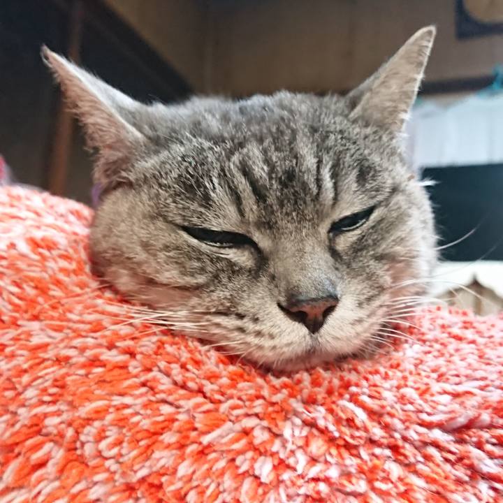 6fcbf203 a7d3 444a 9dab bf1d3d99cd5c 1580243674335