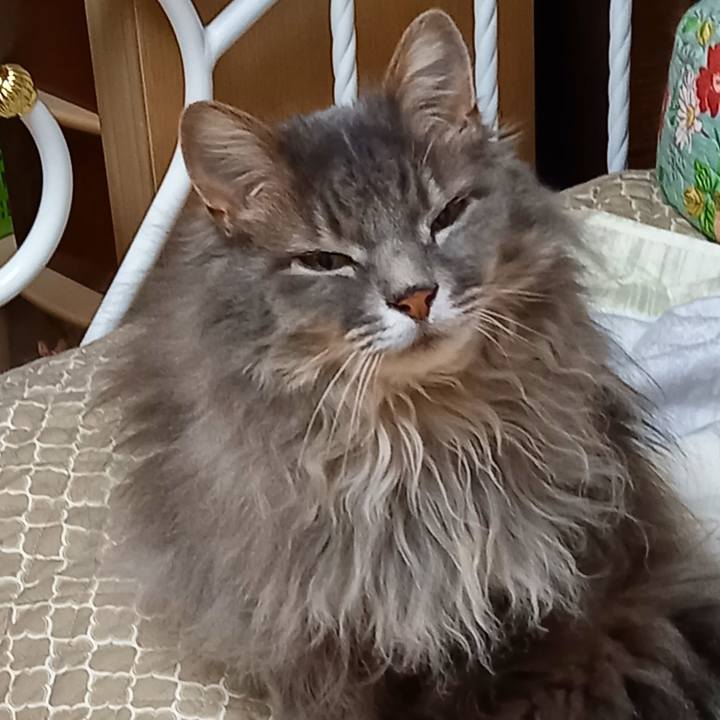 6fcc21ca bb3c 4503 9726 3c1a4f2b0682 1621809611586