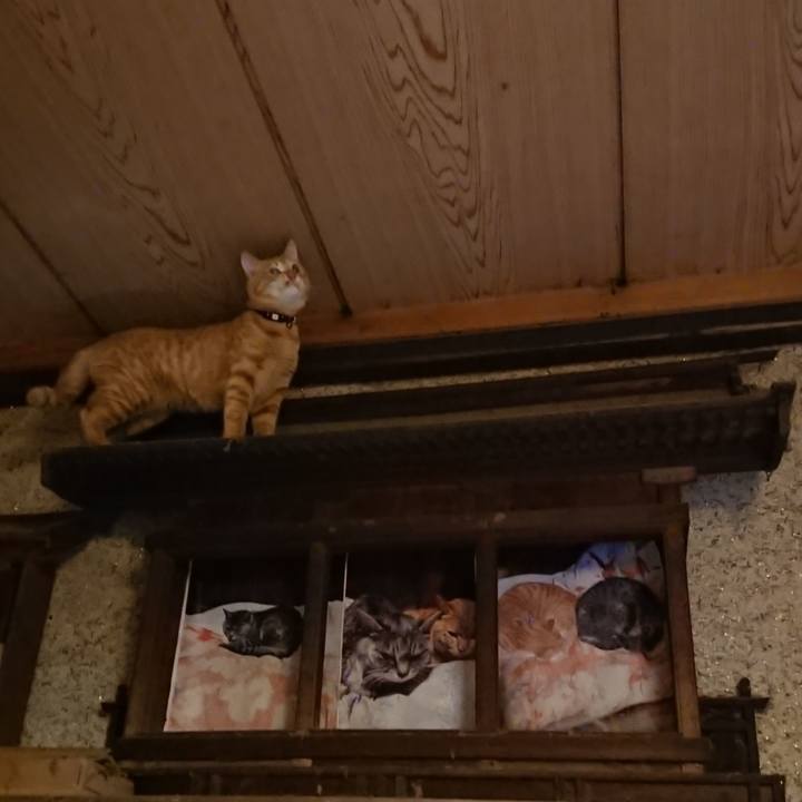 6fcc2799 a3d4 4b51 8c3c 8467ae6e1ac0 1637321260831