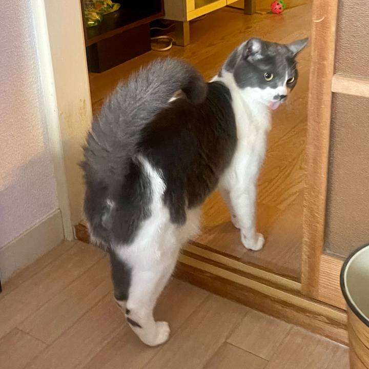 6fcc4654 55cc 4e54 b09c 5a6e9e43d0b8 1653006540336