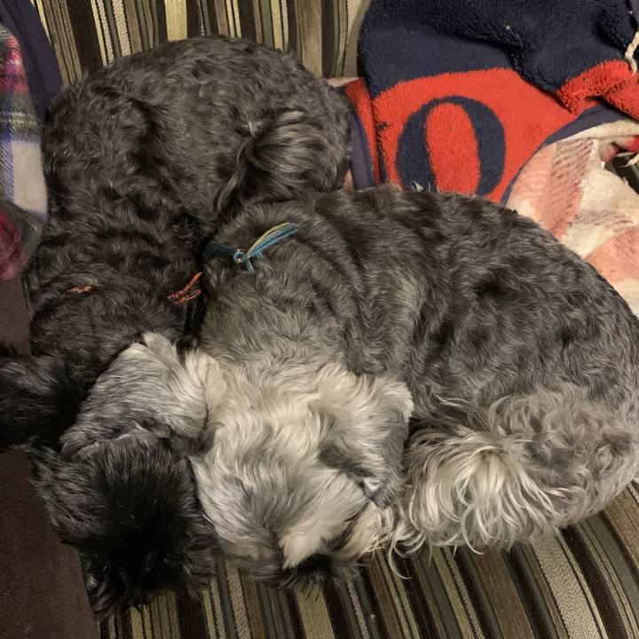 6fcc6ea5 20ec 494c b740 8f4dd69b650c 1587647785805