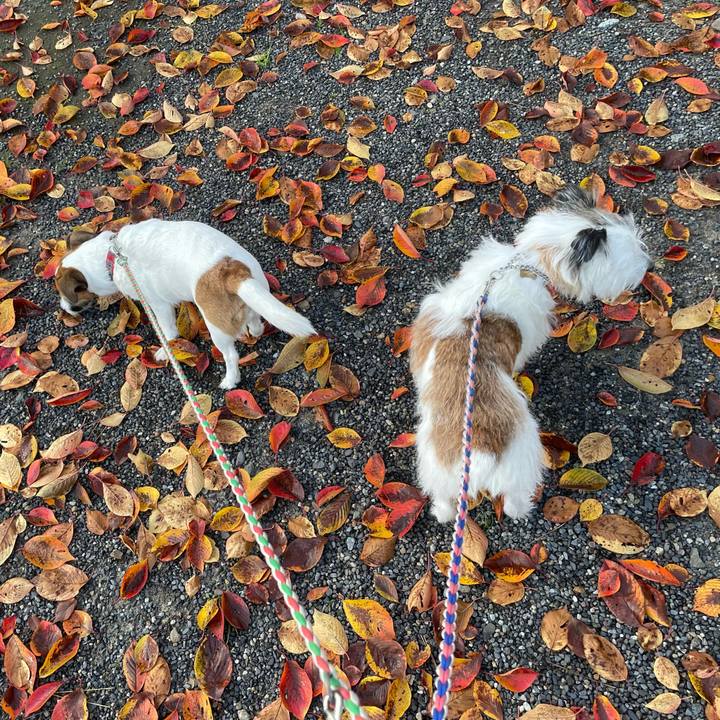 6fcc86c6 3fbc 4962 9420 e46e39758bf7 1762471924314