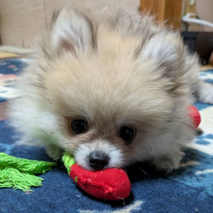 6fccb566 2410 4486 a400 e3e5b4414808 1746622062887