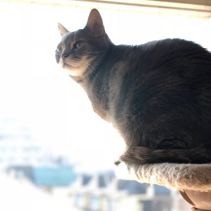 6fccc5fe 4625 4eb6 a134 c7e77a064066 1517844722342