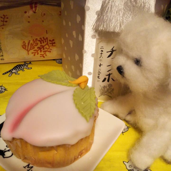 6fcd0040 89b9 4046 a5da 9de642fbc0fc 1551614424261