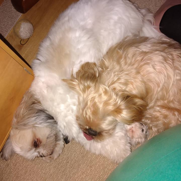 6fcd014f 71cb 4694 8cce e4125df8a613 1614304592946