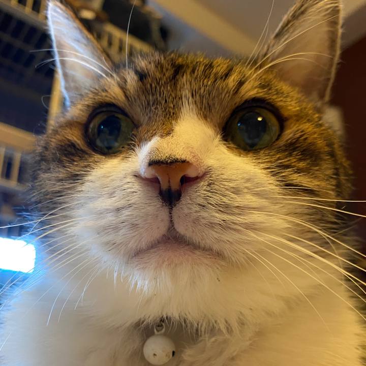 6fcd542e 080c 40c2 85cb c7a1cbf5aaa2 1631250076524