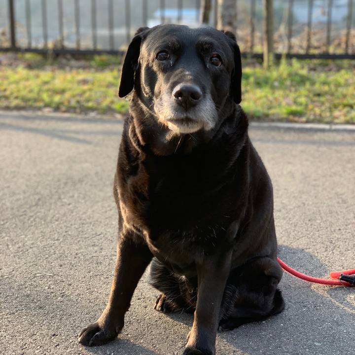 6fcd5437 d058 4985 83f8 74fbaca93a6f 1550311883882