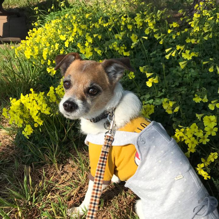 6fcd66a0 0f45 4ef1 b6b0 eb80b8c02884 1551492380092