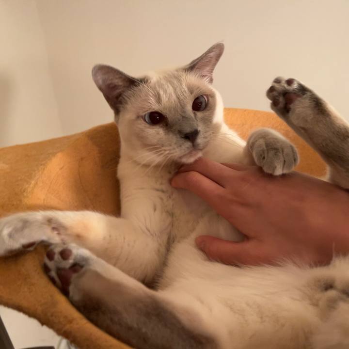 6fcd6997 cd85 47e6 80e1 825efa10a11f 1737360906003