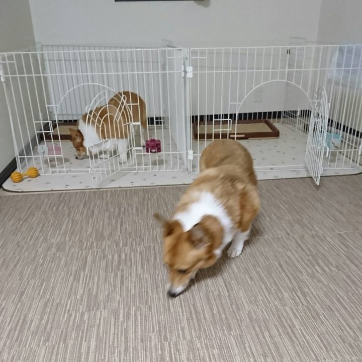 6fcd7277 91f0 4478 b359 5443ed4ca50a 1544168140452