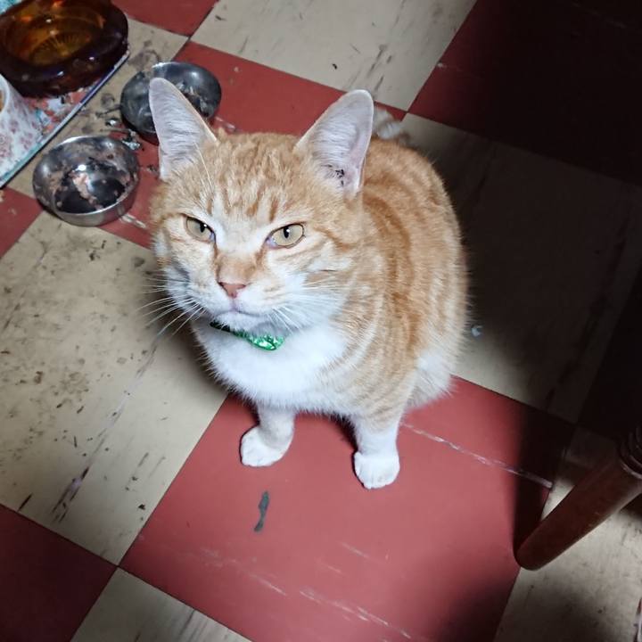 6fcd7aa8 40bd 4b85 bd36 02a0a3ad9c42 1583139717813