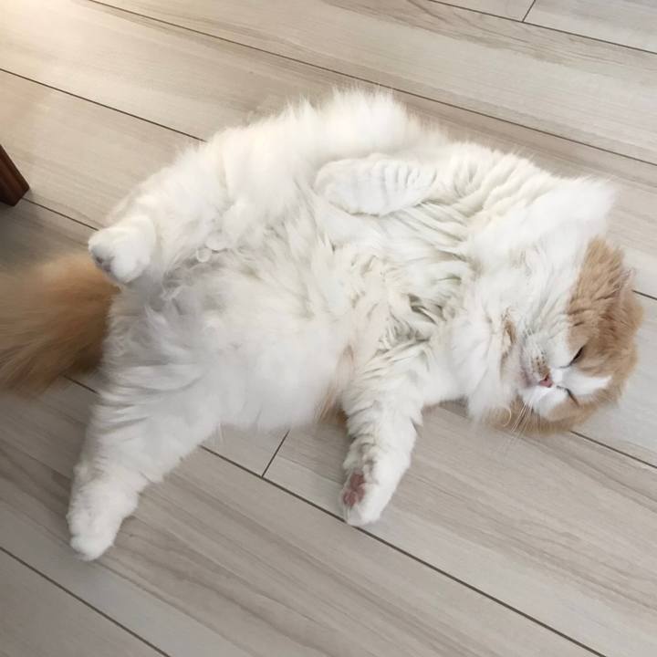 6fcd7bc2 ab86 49a8 be01 bdc527aa6c59 1572854679667