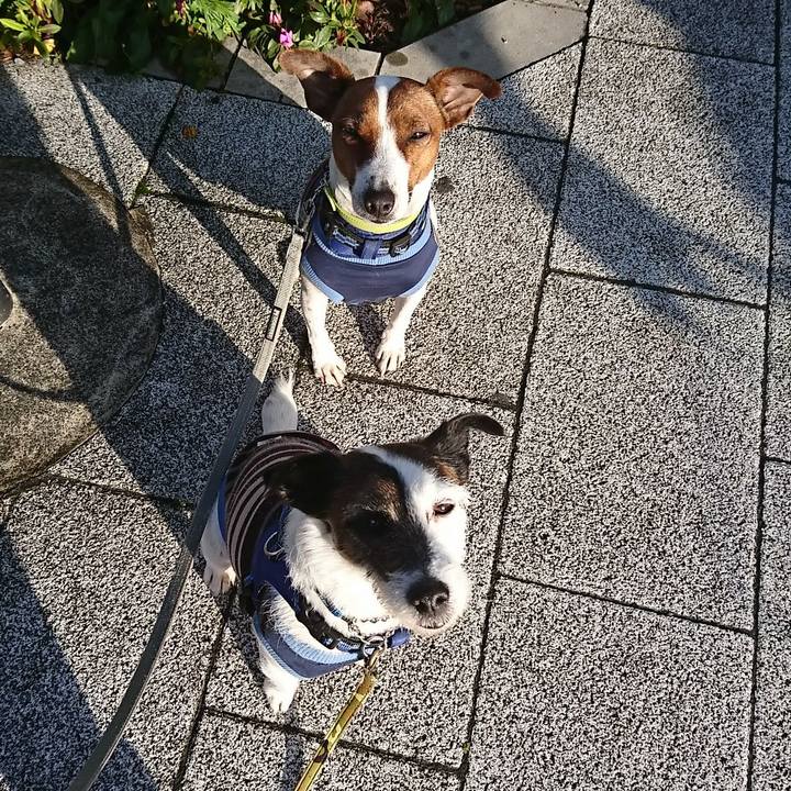 6fcd8d0c b328 4380 a05a 7b9b776cbc6a 1586814933330