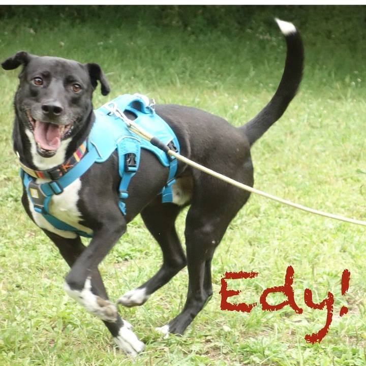 6fcd9650 6e72 4bfc b925 e3d172d97b13 1621127534017