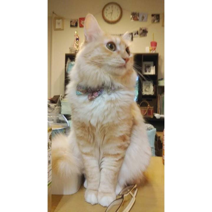 6fcd9bd2 2bc1 4698 b41c 5b96feaa0f3d 1635766717656