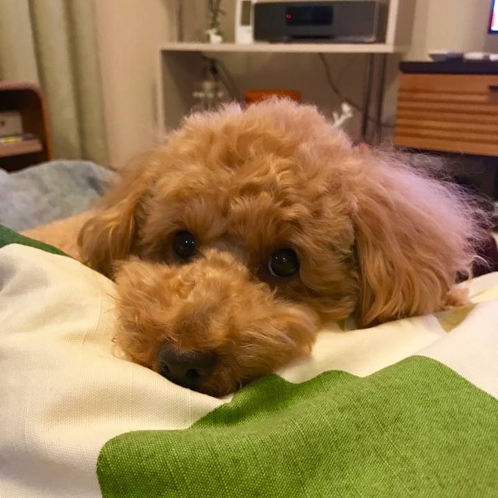 6fcdcb92 e308 4987 94b3 3f060e097e2d 1522933780936