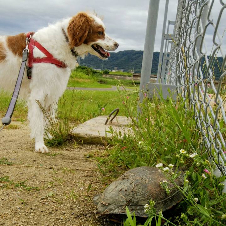 6fcea4cc c848 4c78 a8eb 6d0e2efbc505 1563000038842