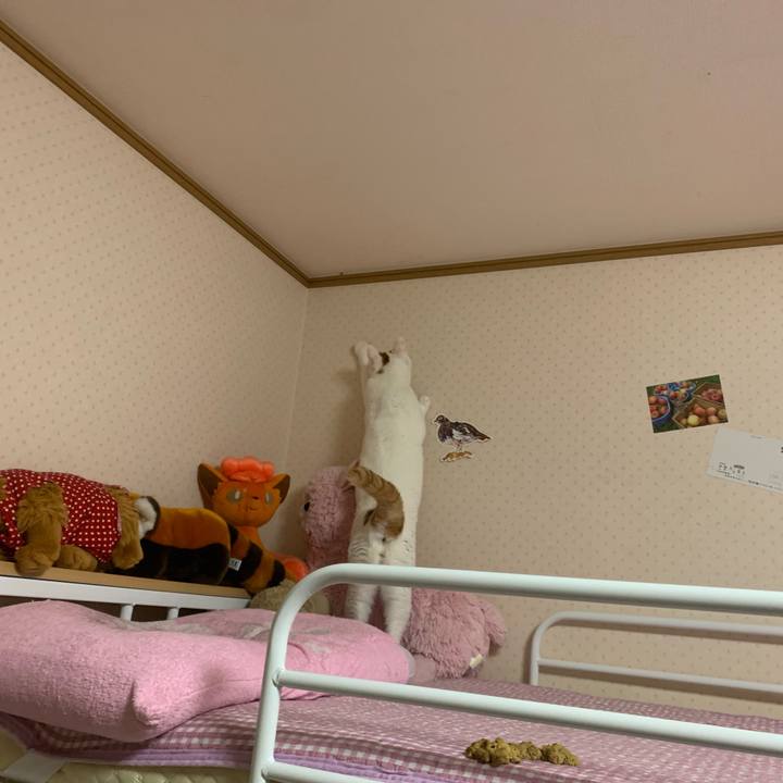 6fceb58f 88b8 4305 ade6 fb01a4f855ed 1573636165813