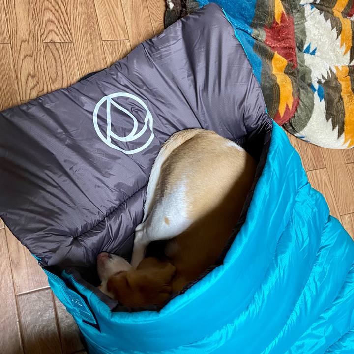 6fcf2485 111b 4e59 850e 3f47ce8e6b78 1651099287152