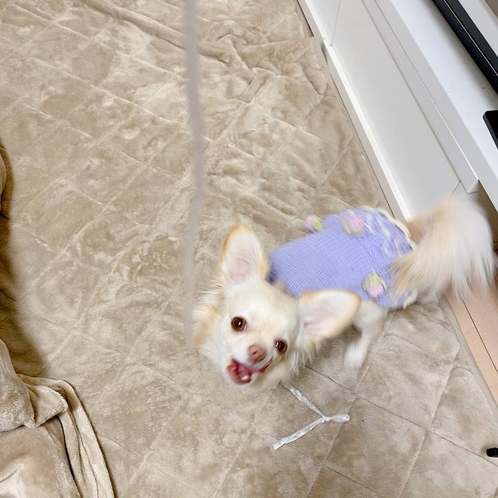 6fcf267b cc62 49f2 a69c 16565137722d 1615617611775