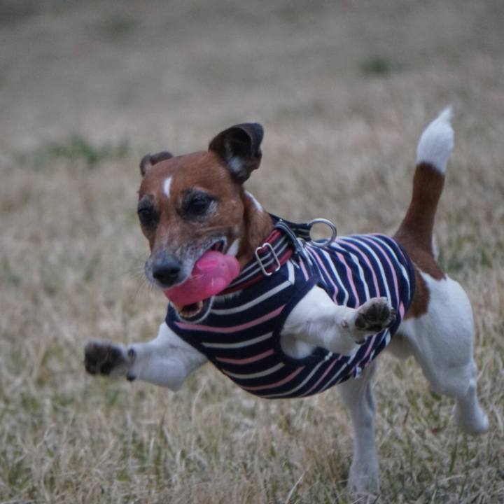 6fcf73d0 647e 48d8 a1a9 d3e7c04ff80e 1584919089333