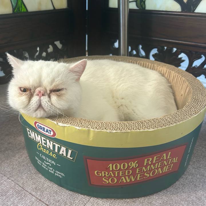 6fcfb3d3 55cf 494f 8091 ae854ad18816 1726270189016