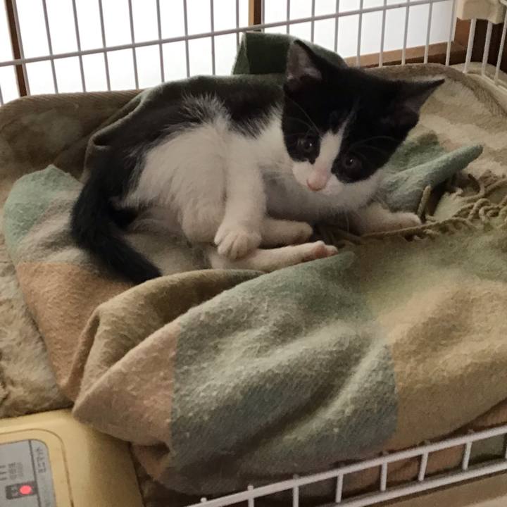 6fd00b15 d9e9 4873 b7b6 70b153320330 1624148710994