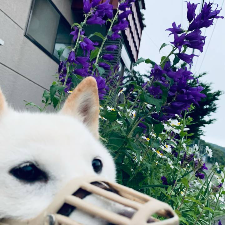 6fd02ab3 cfc3 4c17 8bc9 f0afb27d425b 1624220573950