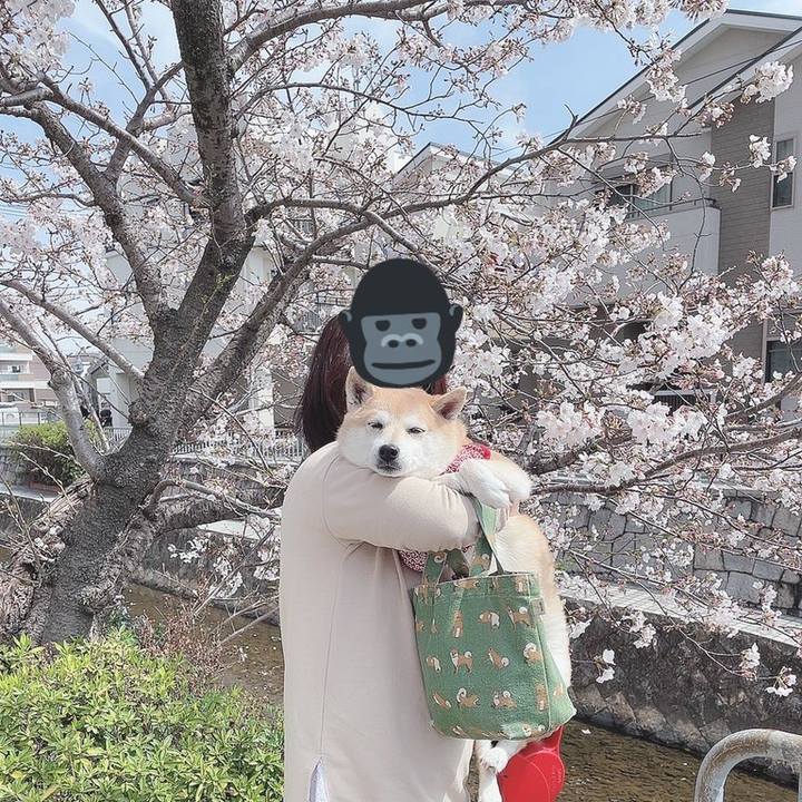 6fd0314c dfa9 44fe 9ca5 7e017ff972b7 1616931108000