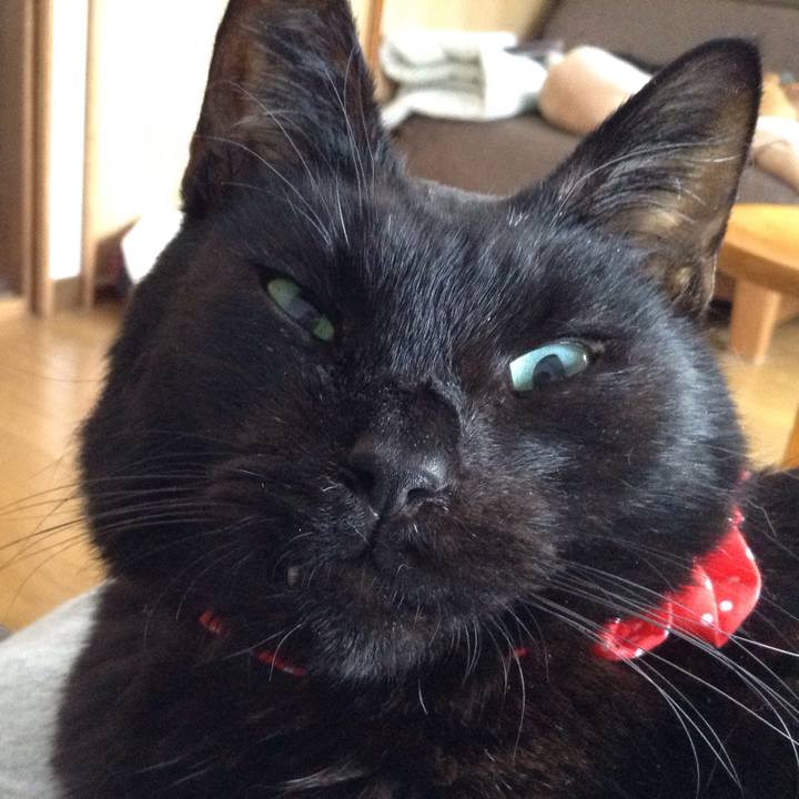 6fd0500f 6838 456f b4de 156a54cbca77 1552714316861