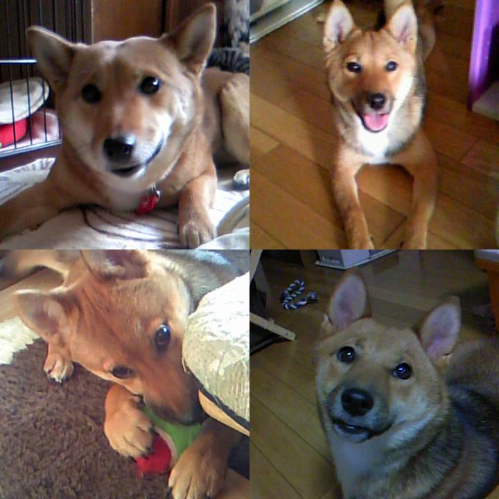 6fd05264 a636 4f59 8325 1abd5e666796 1600470588601