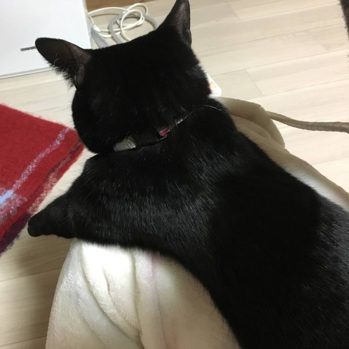 6fd05840 aada 4acd ace3 777a89a1209b 1518173858258