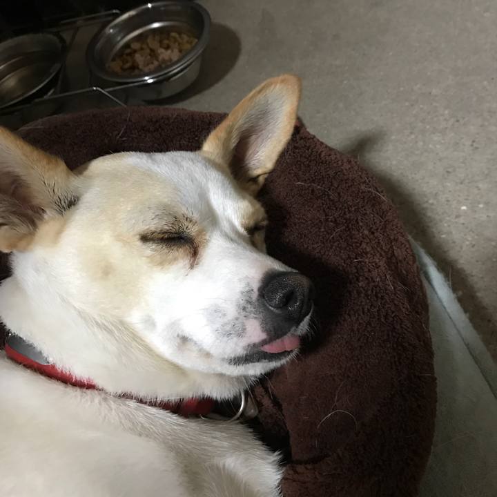 6fd070cf 0ad5 474c 8b0c ce990a2be4fd 1536578347443