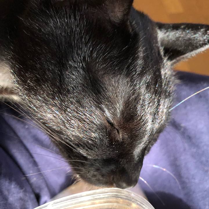 6fd086db 49aa 43f6 ad35 d0d49cea0a0b 1661720300047