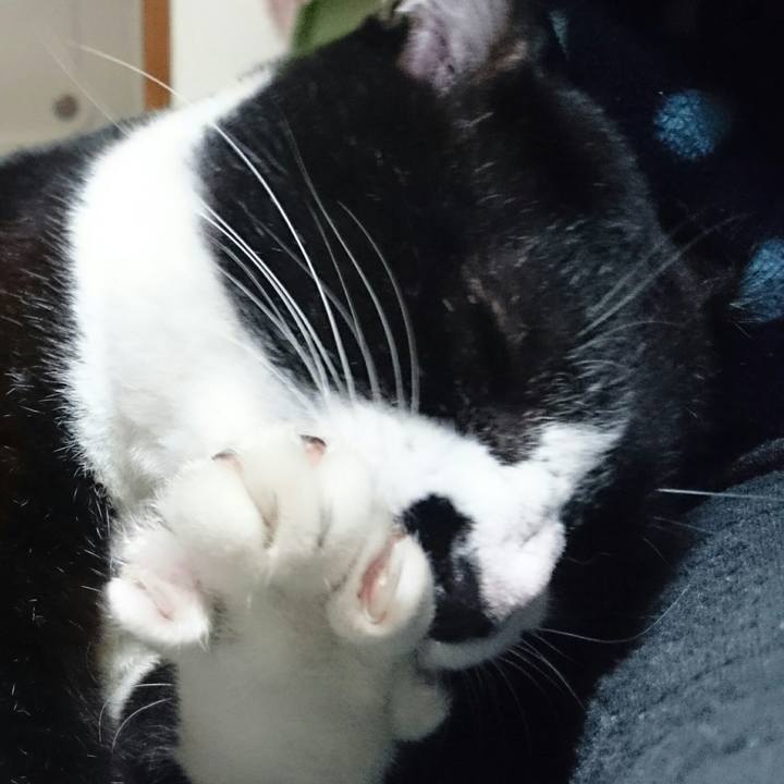 6fd08dd2 c000 4339 a2bd e73dfbef0250 1508244979237