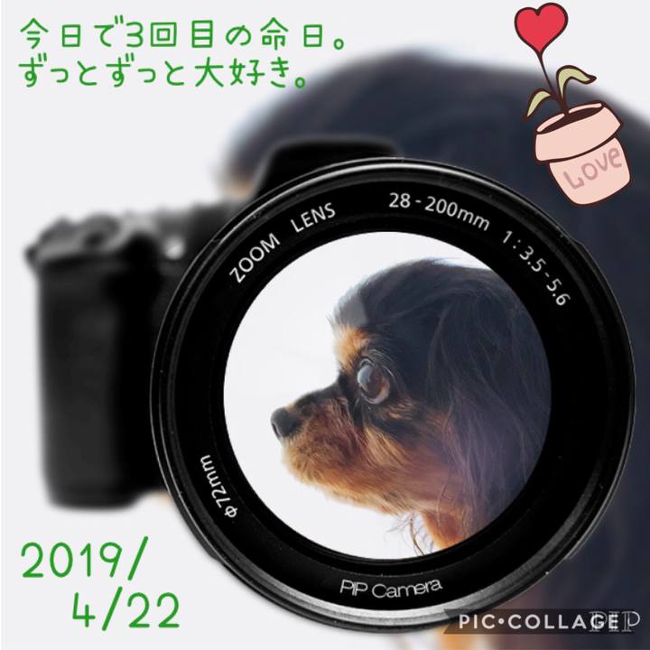 6fd0b695 6051 417e b24b 342207f355d6 1555902940992