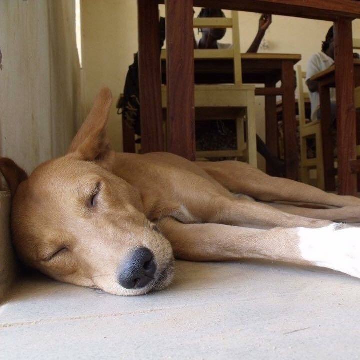 6fd0f1f7 8ba7 4147 a85f 79ddbc86c3f2 1524552798943