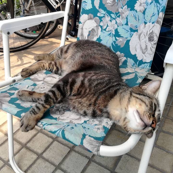 6fd155cc 70a8 4374 a264 4eedced229d7 1562466932691