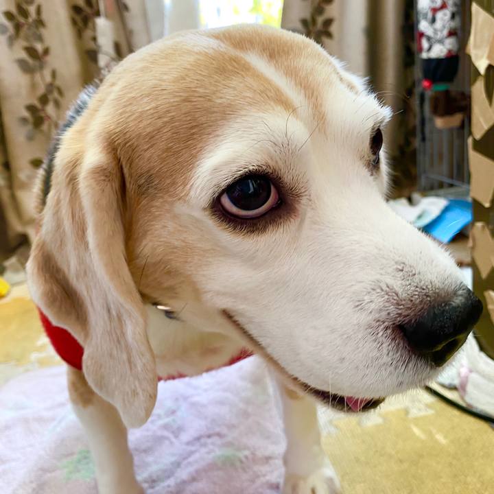 6fd15a44 bb3c 4525 9ee9 d64e29ead998 1582258839983