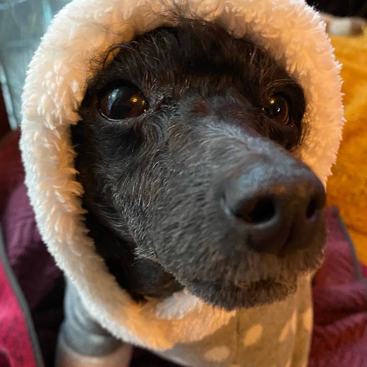 6fd1906d 9332 451d 8ff4 099d57a6f9d9 1641533843266