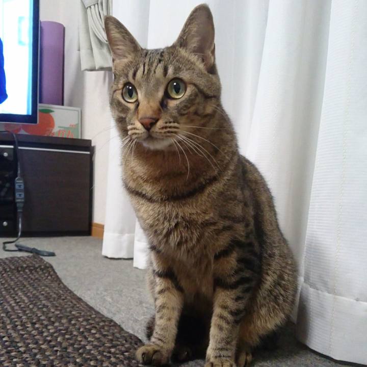 6fd196c4 dc02 410e 8d79 03791a604598 1508846470877