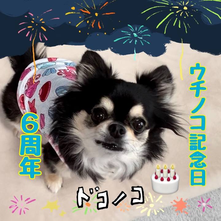 6fd1c48d af63 400a 82b9 c7507b8349be 1723556304315