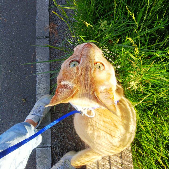 6fd1cae2 e0cf 47f7 b0e1 e27359286be9 1623365329910