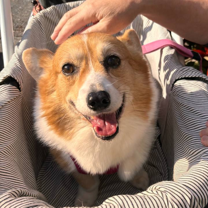 6fd1e4af 3927 4807 b1f2 6c438b12b791 1733459962050