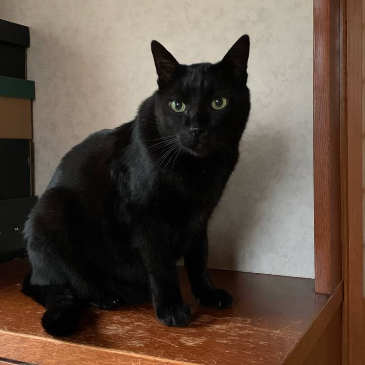 6fd223a7 78e8 4d23 b78d ac31e6a24cb5 1580262367066